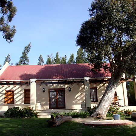 Calais Wine Estate Pensionat Paarl Exteriör bild