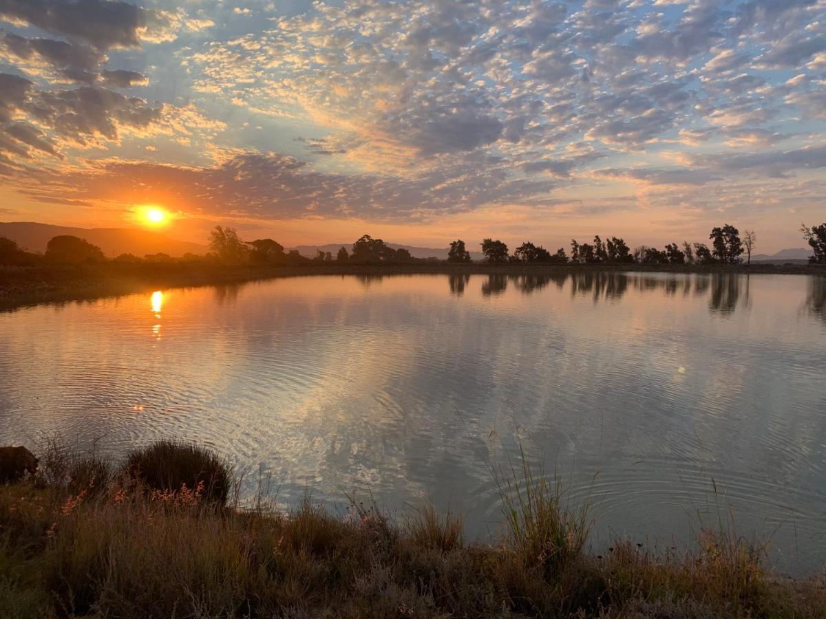 Calais Wine Estate Pensionat Paarl Exteriör bild