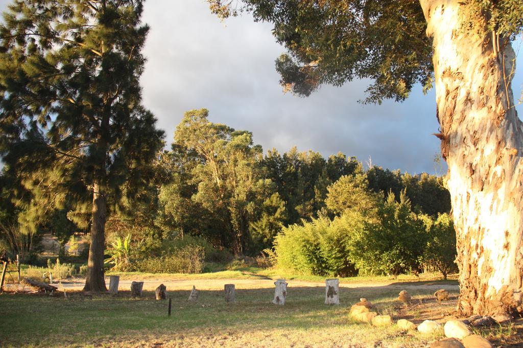 Calais Wine Estate Pensionat Paarl Exteriör bild