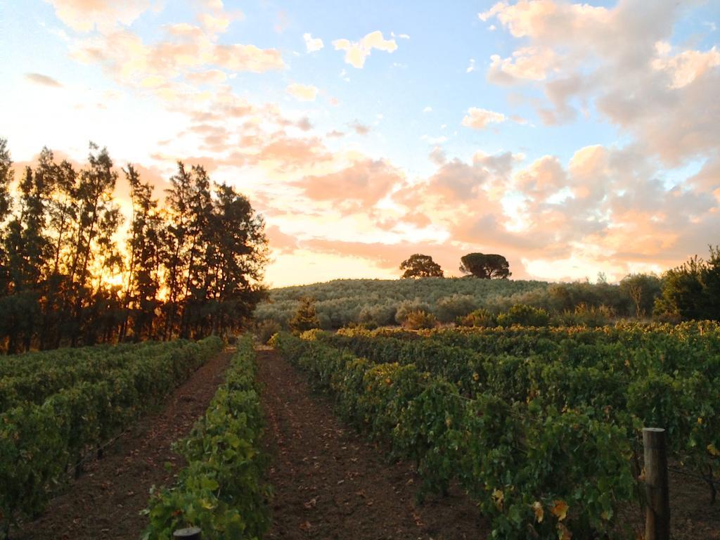 Calais Wine Estate Pensionat Paarl Exteriör bild