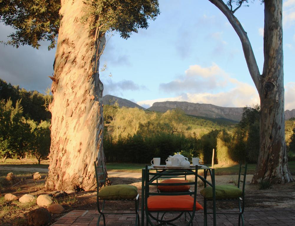 Calais Wine Estate Pensionat Paarl Exteriör bild