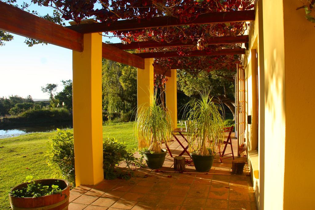 Calais Wine Estate Pensionat Paarl Exteriör bild